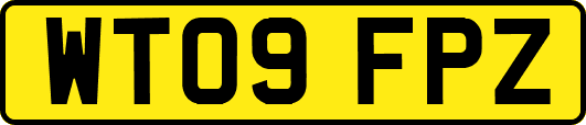 WT09FPZ