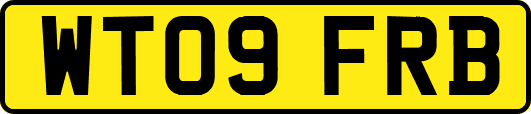 WT09FRB