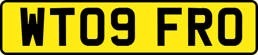 WT09FRO