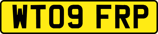 WT09FRP