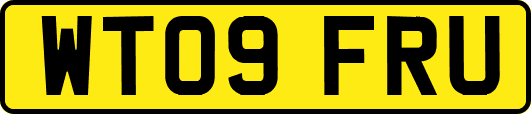 WT09FRU