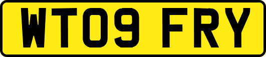 WT09FRY