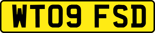 WT09FSD