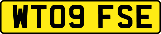 WT09FSE