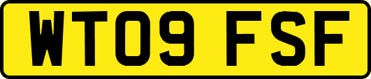 WT09FSF