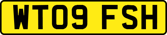 WT09FSH