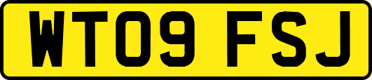 WT09FSJ