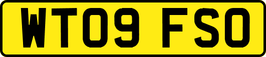 WT09FSO