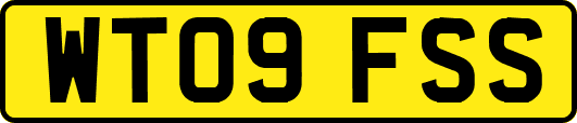 WT09FSS