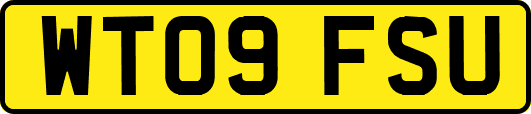 WT09FSU
