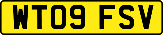 WT09FSV