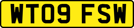 WT09FSW