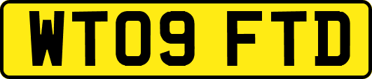 WT09FTD