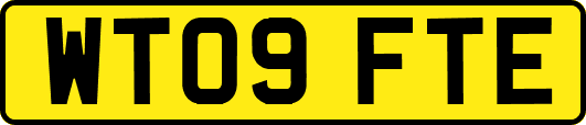 WT09FTE