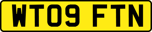 WT09FTN