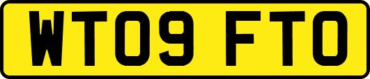 WT09FTO