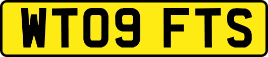 WT09FTS