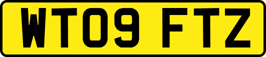 WT09FTZ