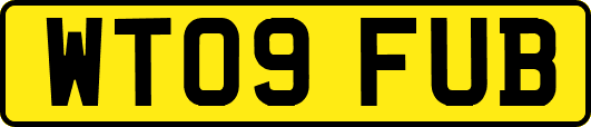 WT09FUB