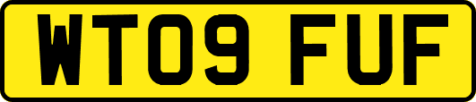 WT09FUF
