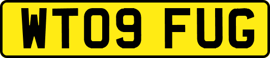 WT09FUG