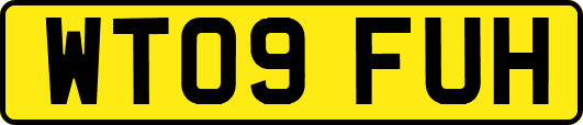 WT09FUH