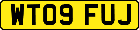 WT09FUJ