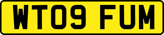 WT09FUM