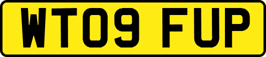 WT09FUP