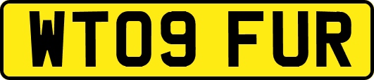 WT09FUR