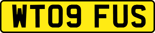 WT09FUS