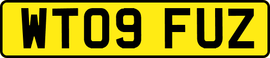 WT09FUZ