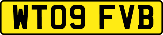 WT09FVB