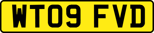 WT09FVD