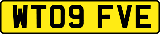 WT09FVE