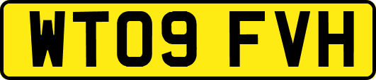 WT09FVH