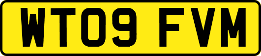 WT09FVM