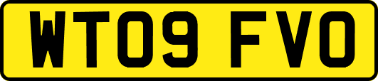 WT09FVO