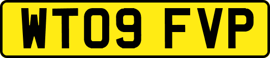 WT09FVP