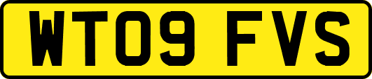 WT09FVS