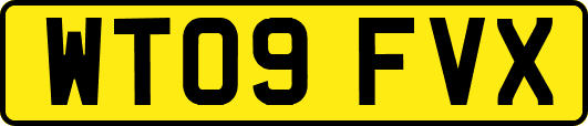 WT09FVX