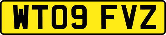WT09FVZ