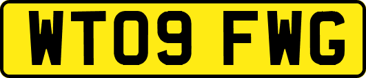WT09FWG