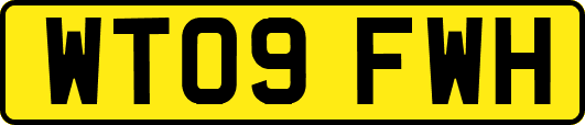 WT09FWH