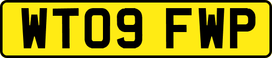 WT09FWP