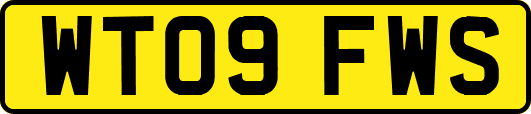 WT09FWS