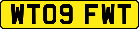 WT09FWT