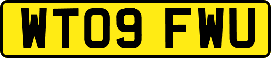 WT09FWU