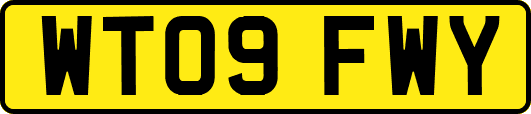 WT09FWY