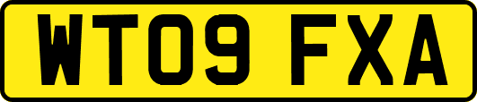 WT09FXA